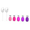 Bolas Kegel kit con 5 pesos y 2 soportes