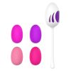 Bolas Kegel kit con 5 pesos y 2 soportes