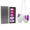 Bolas Kegel kit con 5 pesos y 2 soportes