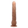 Dildo realista con vibrador y ventosa 28 x 4,2 cm