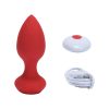 Plug Anal con Vibrador y Control Remoto