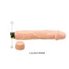 Vibrador Realista Multivelocidades 22,5 x 4,5cm