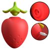 BerryBliss Succionador S-Hande Recargable