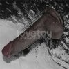 Consolador Vibrador Sliding Skin Pro II con Control Remoto 20 cm