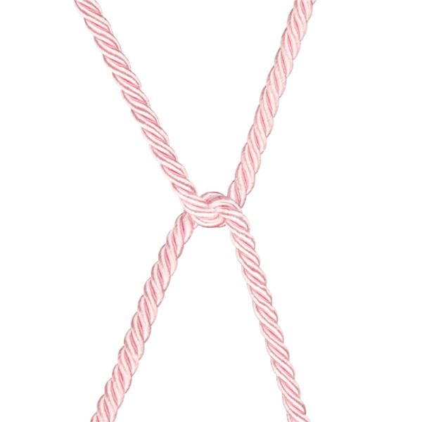 Cuerda Bondage Rebellion Reign Rose 10 m Acabado Sedoso